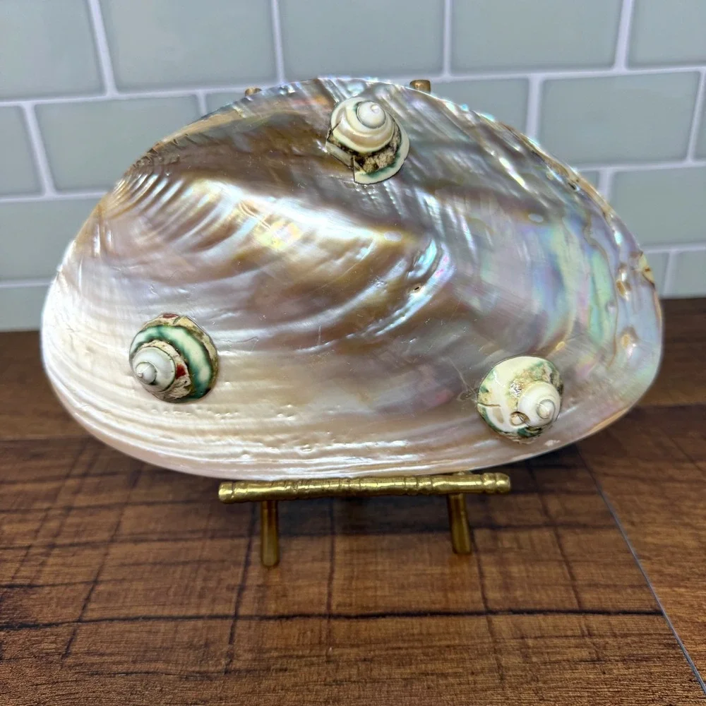 Mother of Pearl Shell Catchall Dish | Coastal Shell Craft Trinket Tray Feet